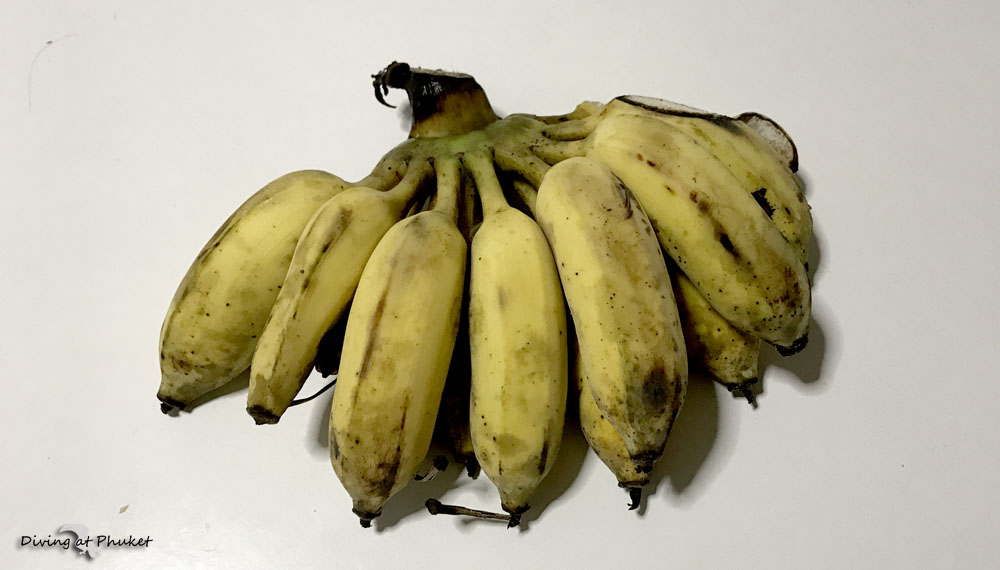 プーケット　種ありバナナ