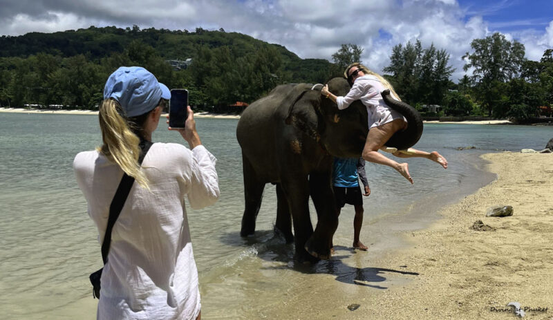 象と触れ合い水遊びビーチ　プーケット