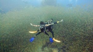 プーケットからカーフェリーでサムイ島・タオ島へ